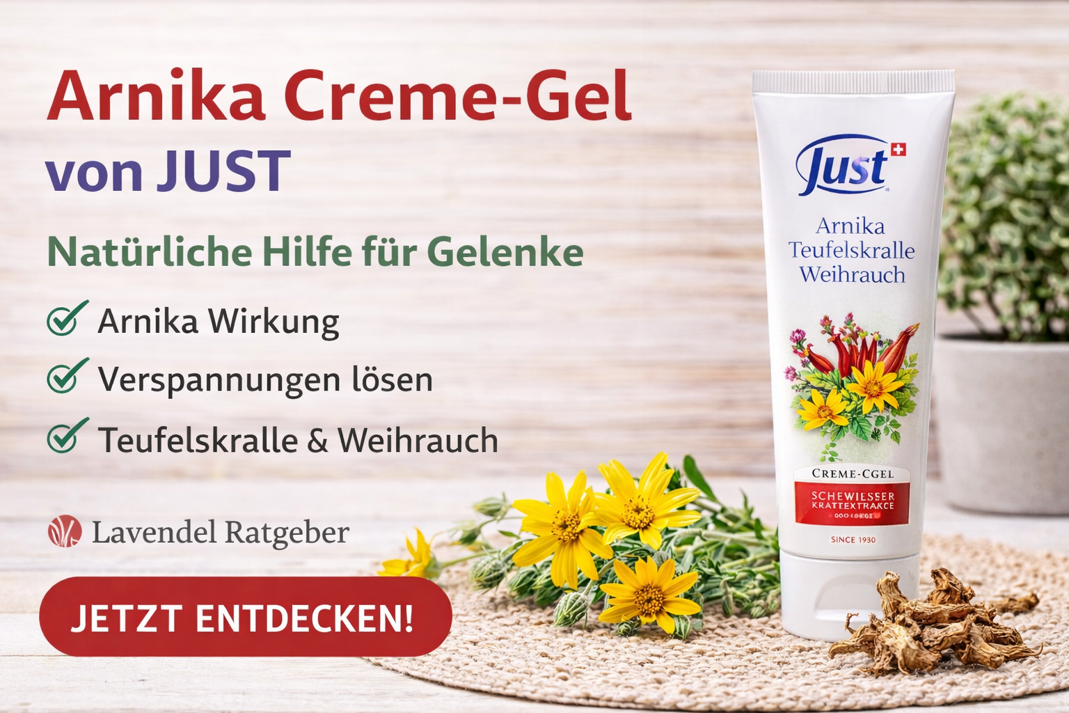 JUST Arnika Teufelskralle Weihrauch Creme Gel